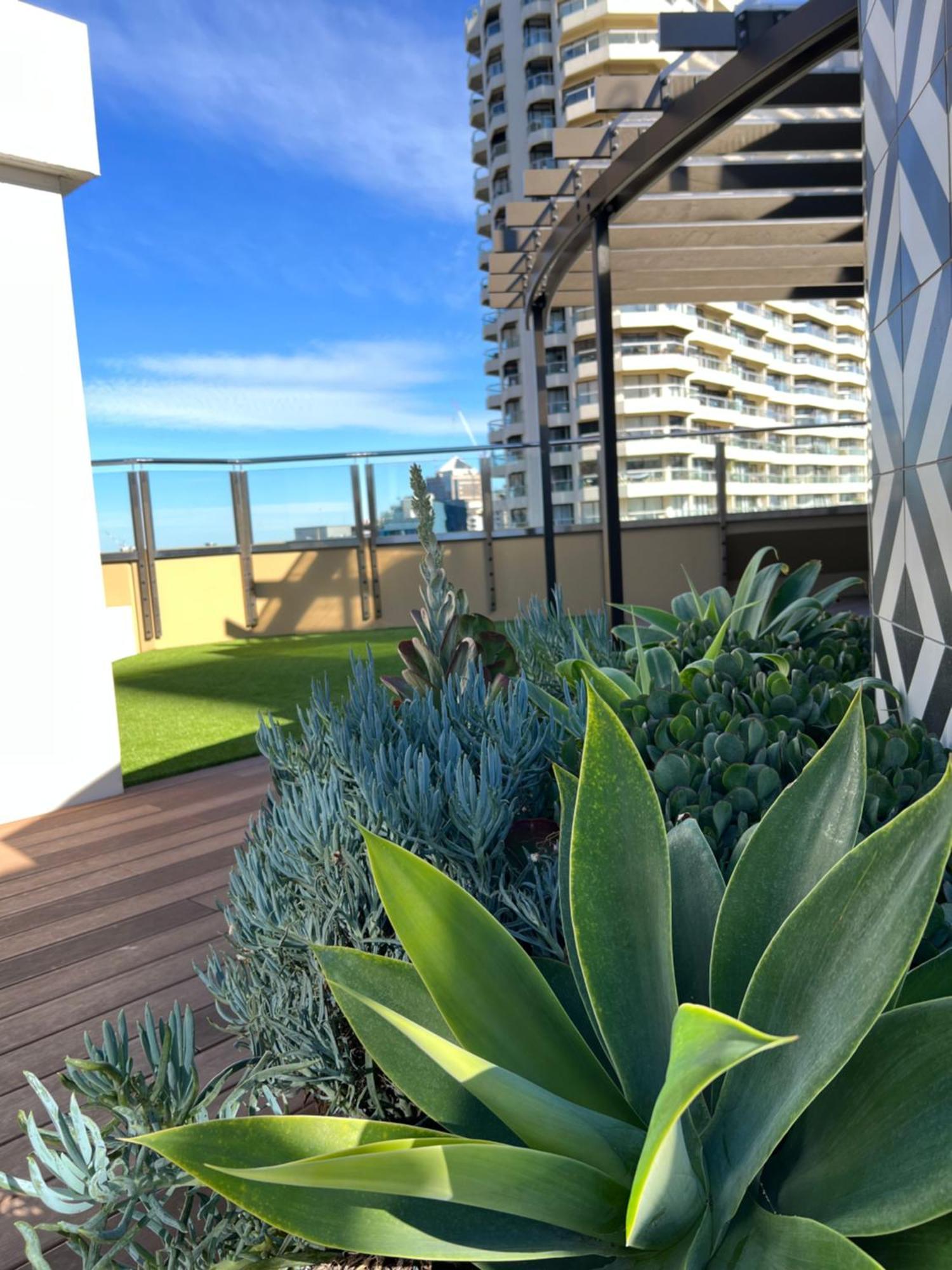 Sydney Hyde Park Private Apartments By Paxsafe Dış mekan fotoğraf